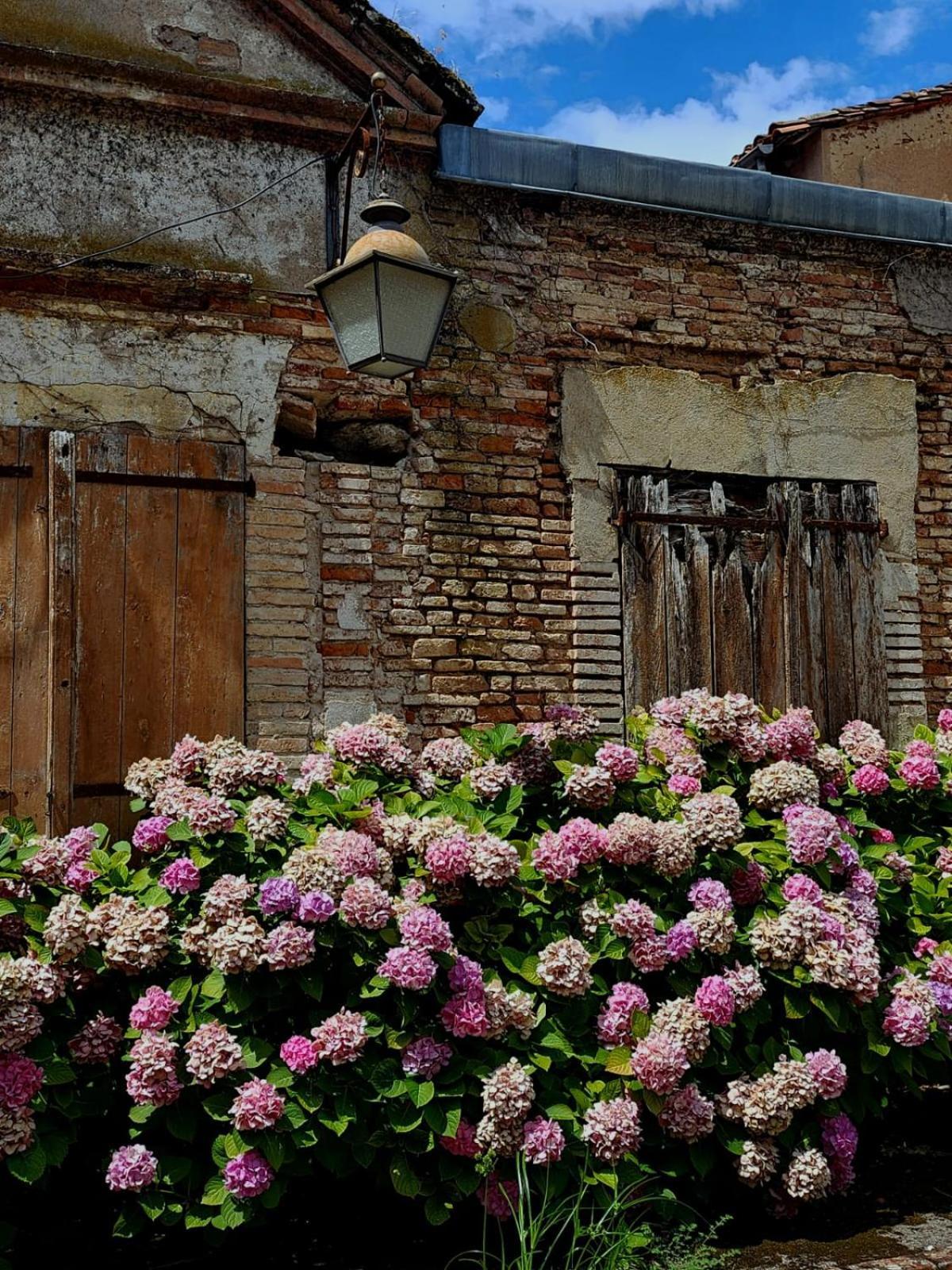 La Cour Verte Gaillac Buitenkant foto